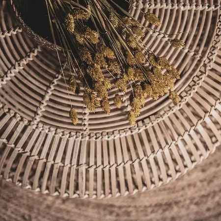 Dannas Boutique & Appartamento Tsilivi (Zakynthos)